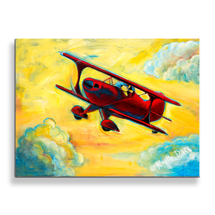 Fun in the Sky | Pitts Biplane | Pilot Dog Series