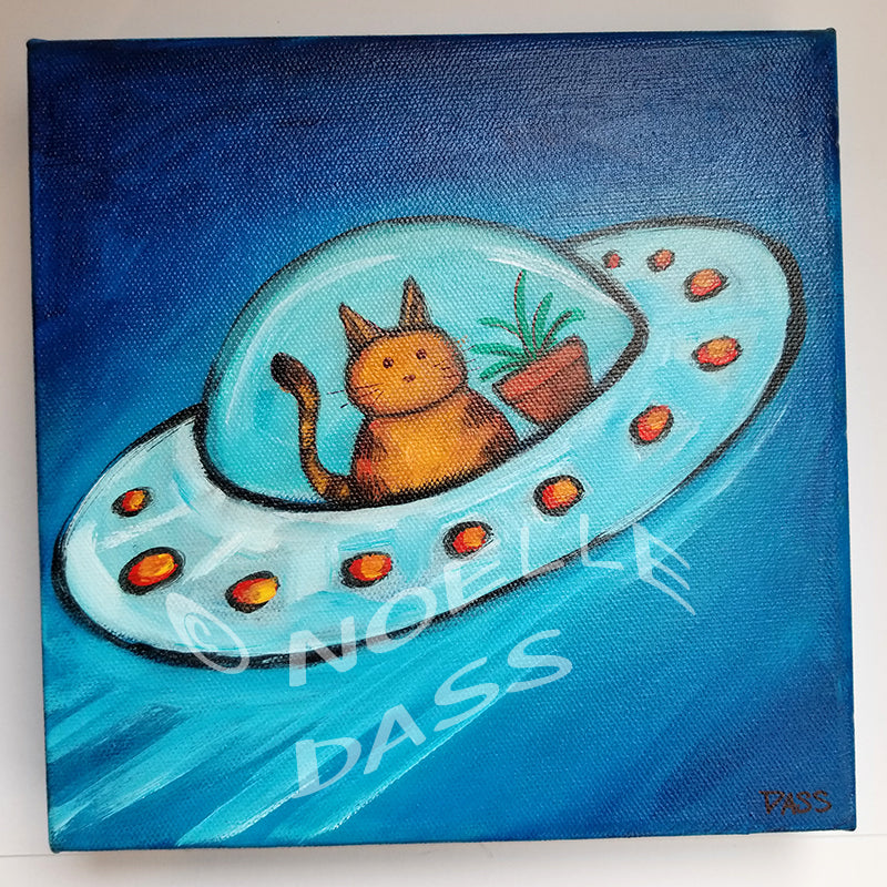 Custom UFO with your Pet - The Great Escape