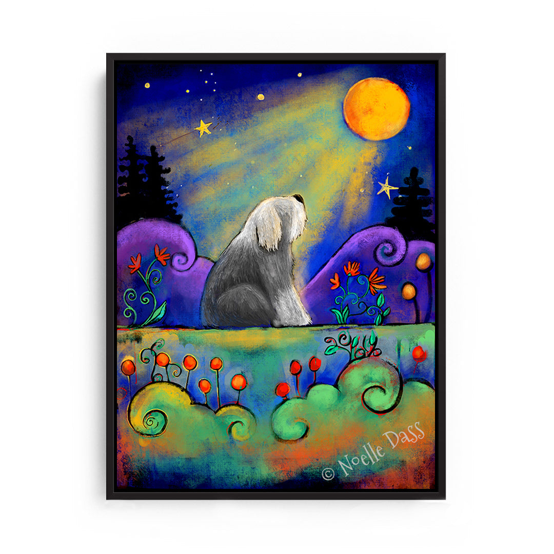 Sheepdog Gazing at Moon Canvas / 11x14 / Black Floating Frame