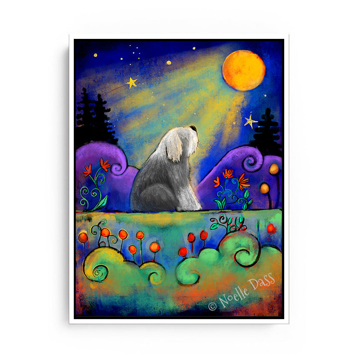 Sheepdog Gazing at Moon Canvas / 11x14 / White Floating Frame