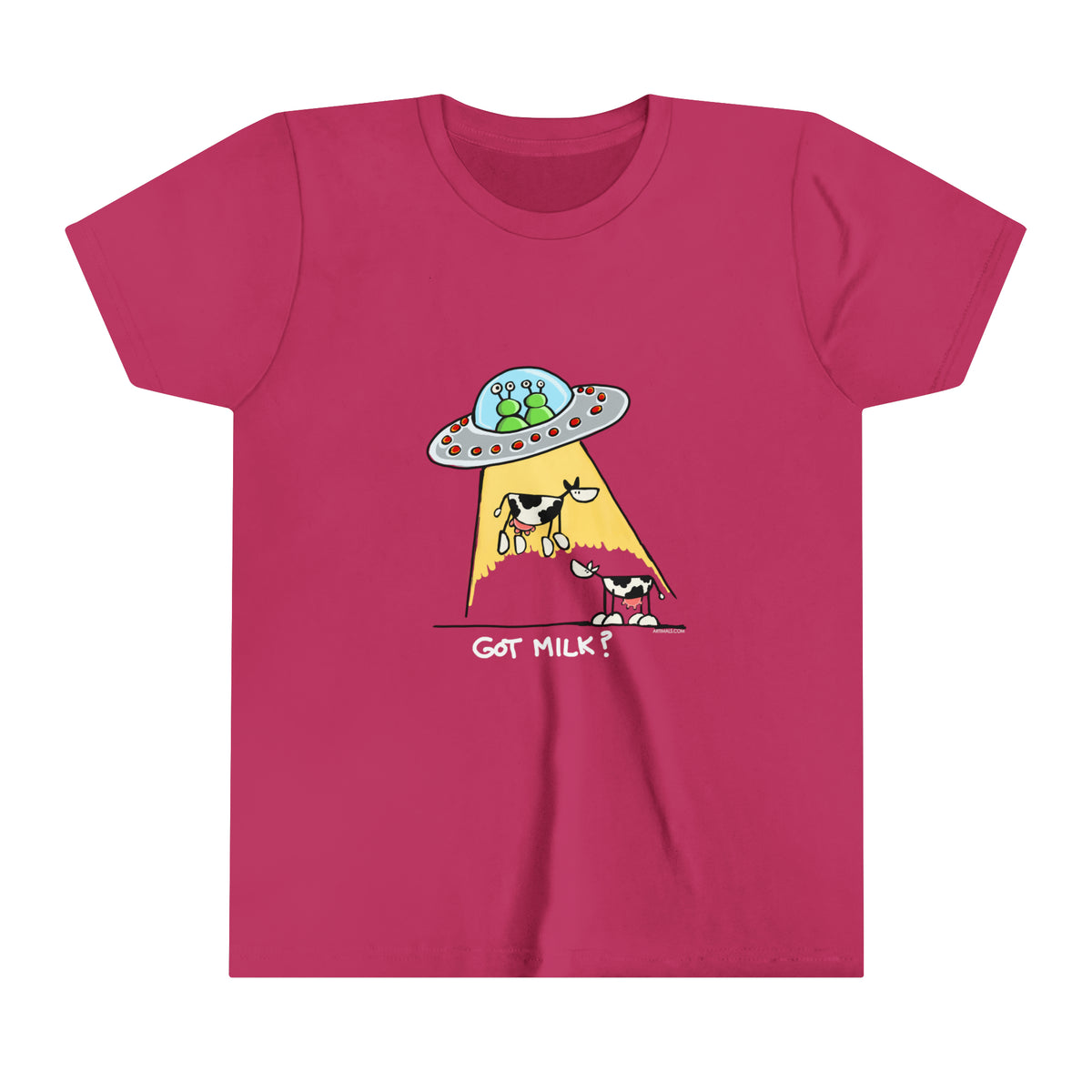 UFO abducting Cows Youth Soft Tee