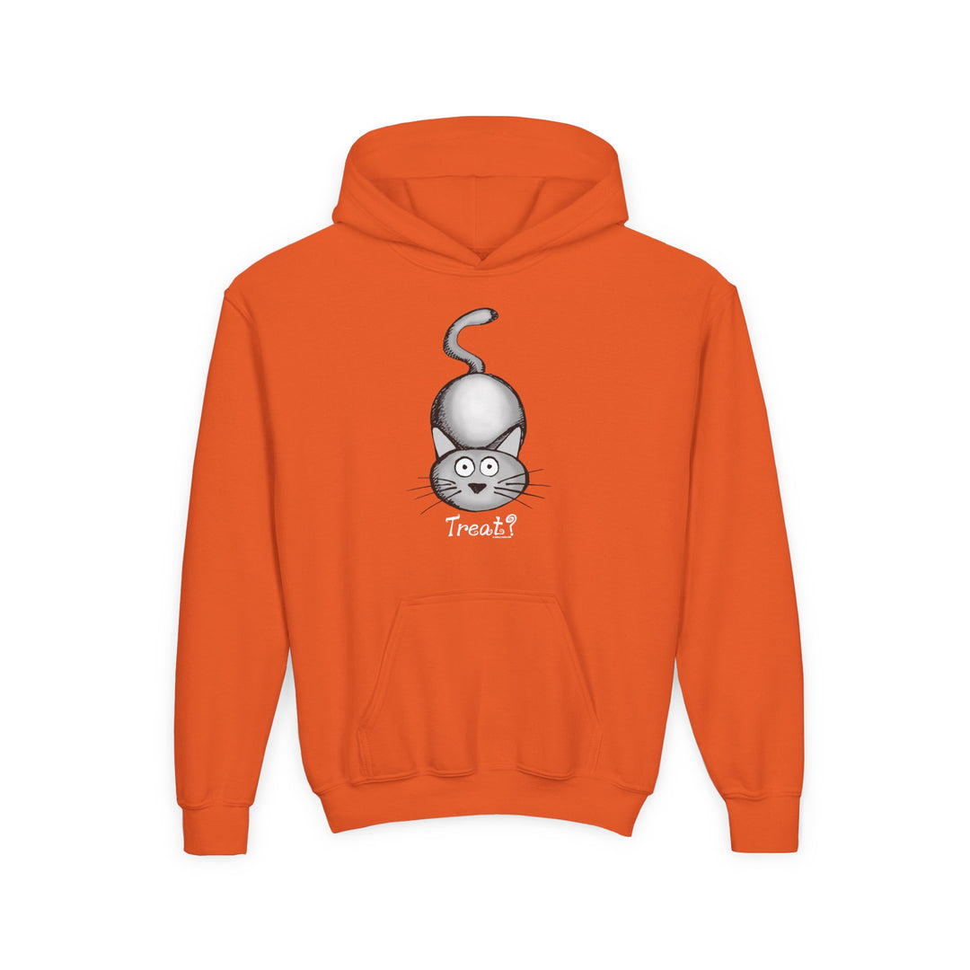 Cat Treat Youth Heavy Blend Hoody