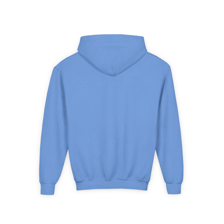 Cat Treat Youth Heavy Blend Hoody