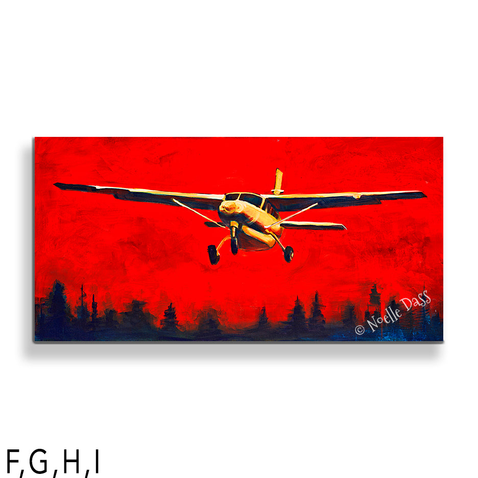 Into the Fire Cessna Caravan Prints H. Canvas 24x48 in.