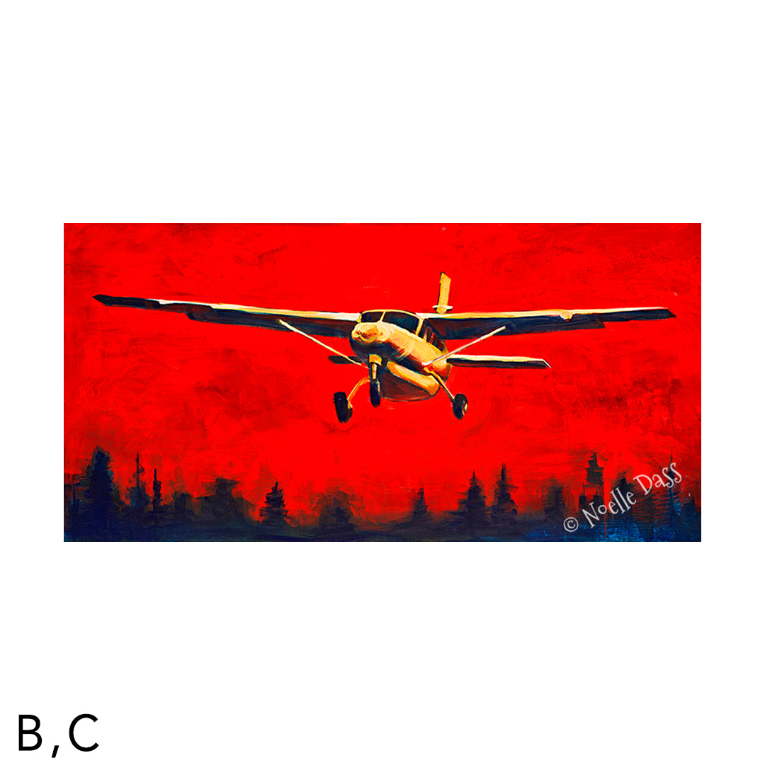 Into the Fire Cessna Caravan Prints C. Archival Paper - Image is 10x20 in.