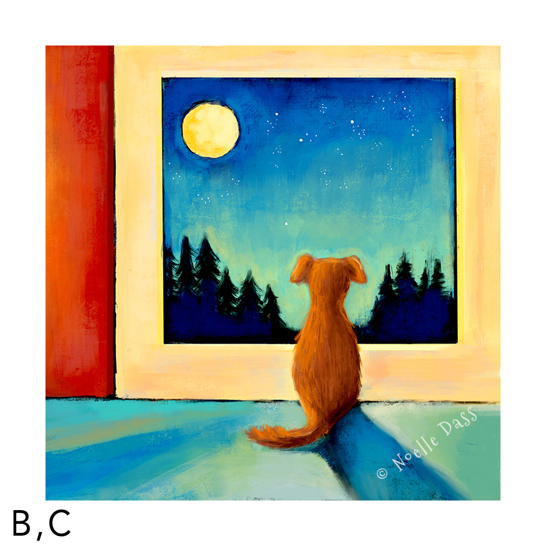 Waiting for you | Dog at Window C. Archival Paper Image is 20x20  in.