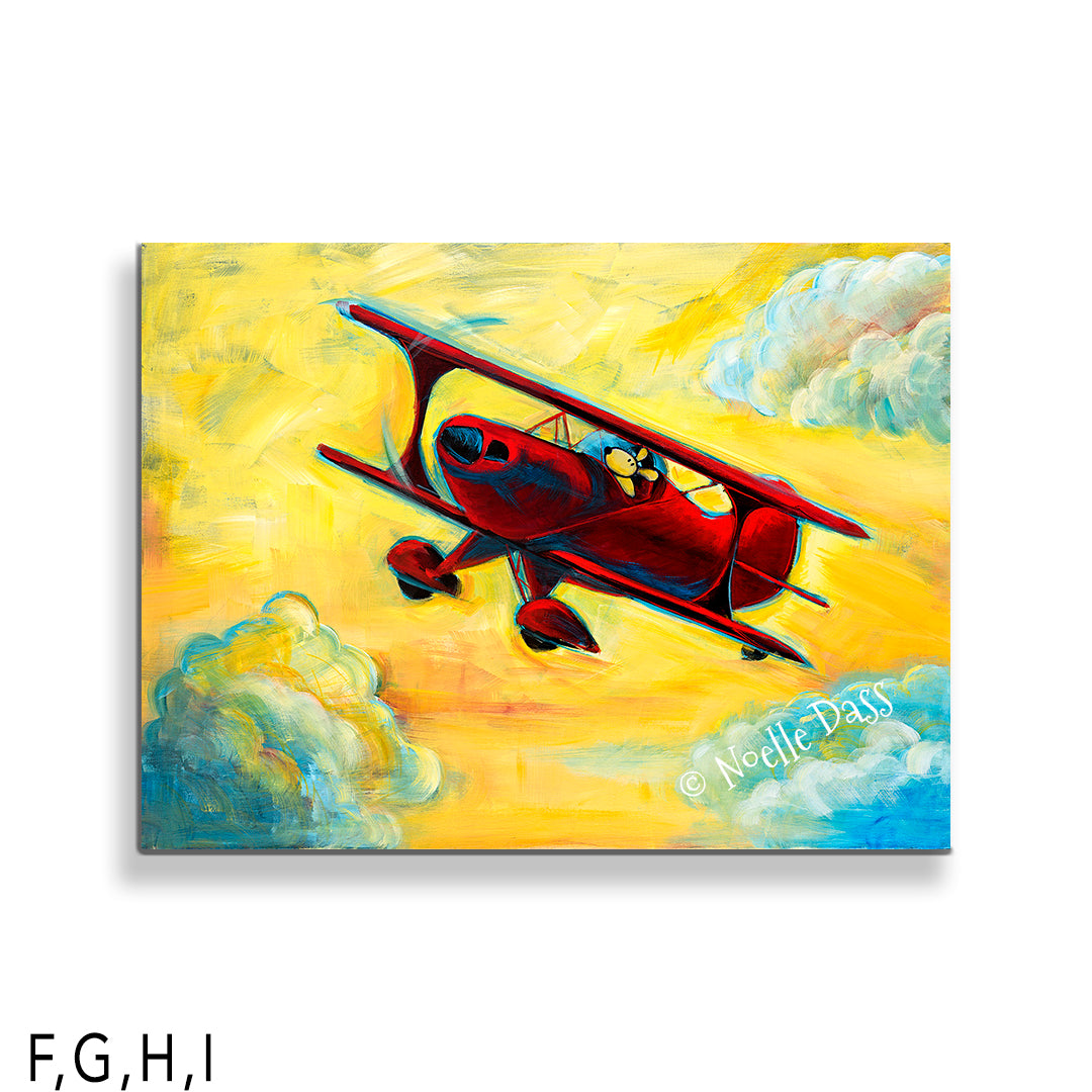 Fun in the Sky | Pitts Biplane | Pilot Dog Series I: Canvas 30x40 in.