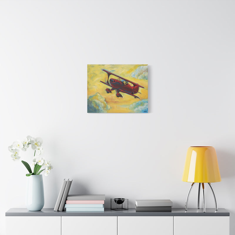 Fun in the Sky | Pitts Biplane | Dog and Bird with Flowers | Stretched Canvas 1.25" Deep
